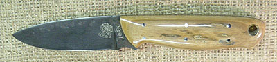 Webb Hammond Knife