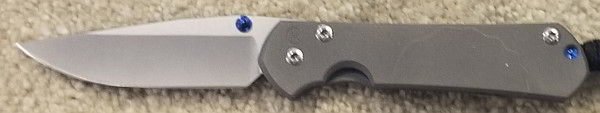 Chris Reeve Small Sebenza 31 Plain S45V Steel