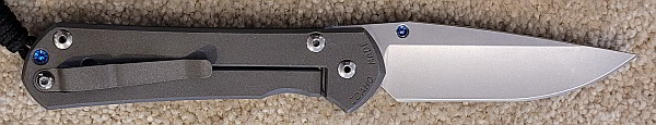 Chris Reeve Knives Large Sebenza 31