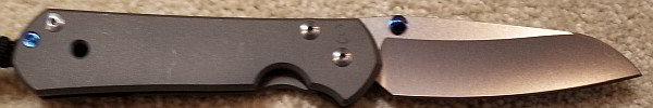 Chris Reeve Knives Large Sebenza Insingo blade, Left handed